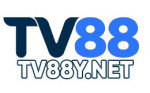tv88ynet