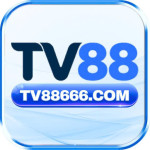 tv88666com