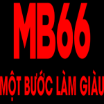 mb66net1