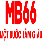 mb66comvn