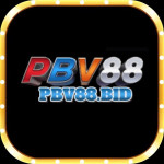 Pbv88bidvn
