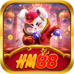 hm88ing