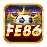 fe86org