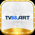 tv88art