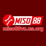 Miso88