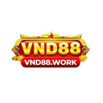 vnd88work
