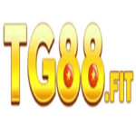 Tg88fitvn