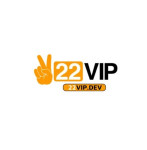 22vipdev