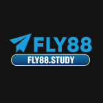 fly88study