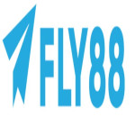 fly885com