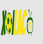 maniffesto.com scamming users