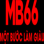 Mb66ooo
