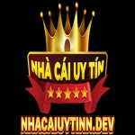 nhacaiuytinndev