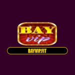 BAYVIP