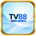 tv88 yachts