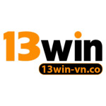 13winvnco