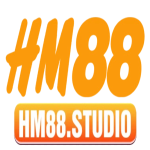 hm88studio