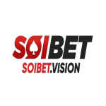 Soibetvision