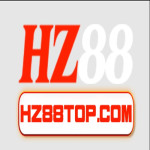 hz88topcom