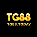 Tg88today