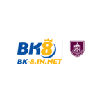 Bk8innet1