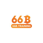 66Btraining