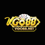 Vgo88net1