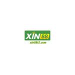 xin88t5