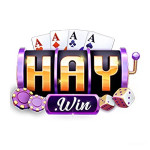 HAYWIN Nhà cái casino trực tuyến