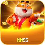 NN55