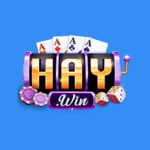 Haywin1 cash