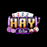 Haywin1 casino