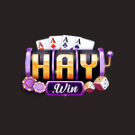 Haywin1team