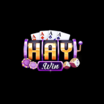 Haywin1news