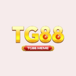 Tg88meme1