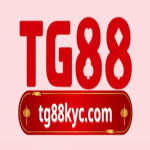 tg88kyccom