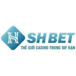 shbet800com2