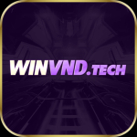winvndtech
