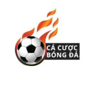 Trang Cá Cược Bóng Đá