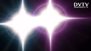 Update on Foster Kittens