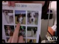 a new calendar for dog breed