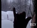 Still Snow in Maine