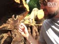 Surprise inside tree trunk