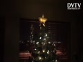 Christmas tree gets stoned