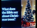 What does the Bible say about Christmas trees?