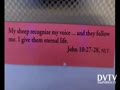 JOHN 10:27-28