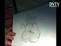 DRAW COLOR TWO. FLOWERS PICTURES