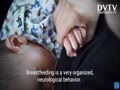 Is breastfeeding easy?
