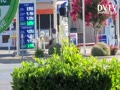 Crazy Gas Prices ! ! !