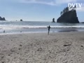 Second Beach, Olympic Peninsula, Washington State